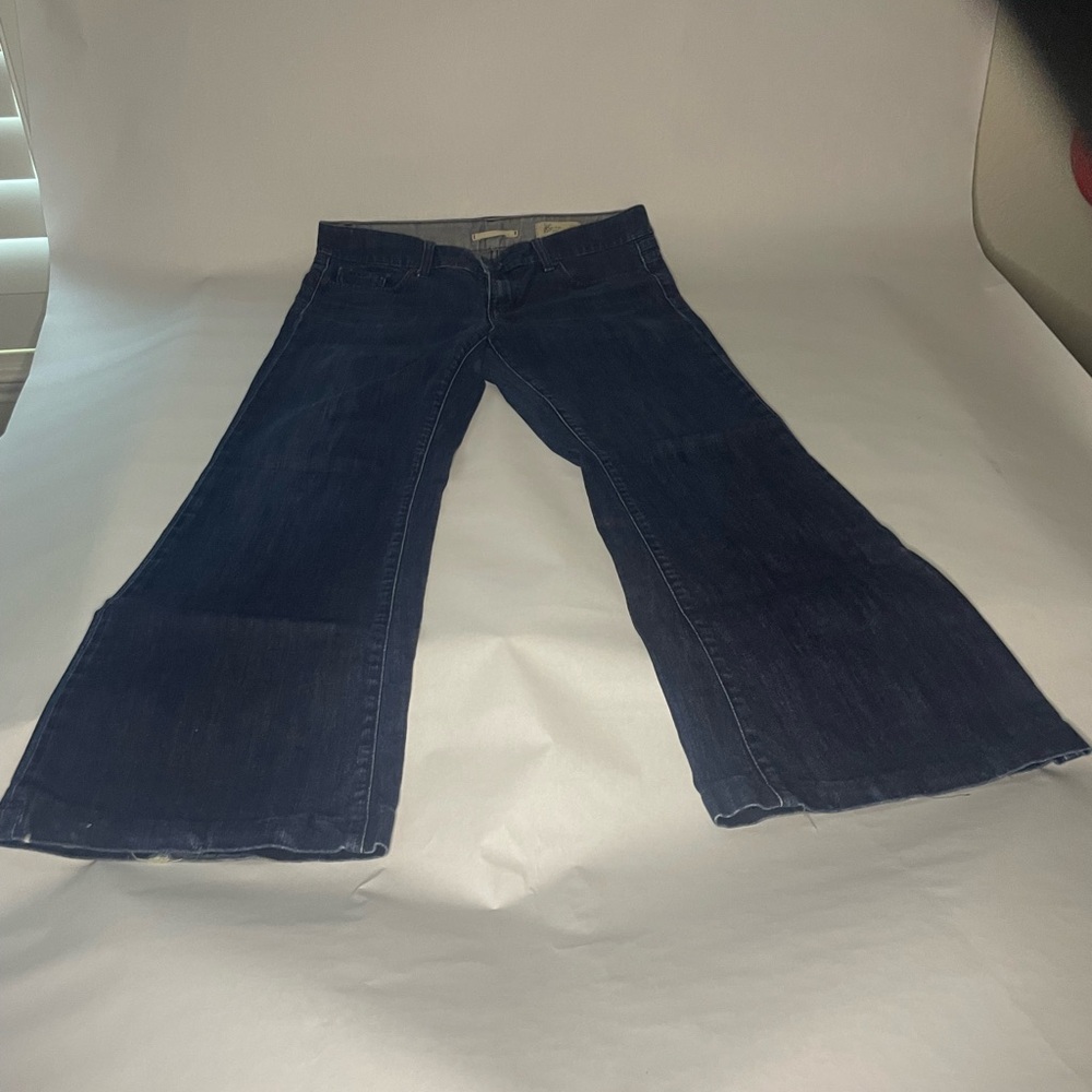 GAP Blue Flare Wide Leg Jeans